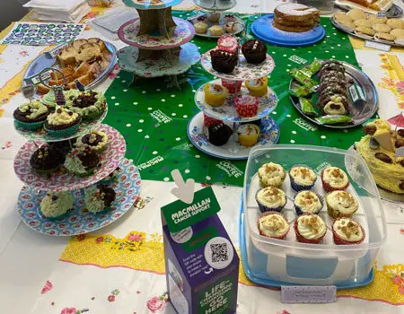 View PHARMExcel do Bake Off