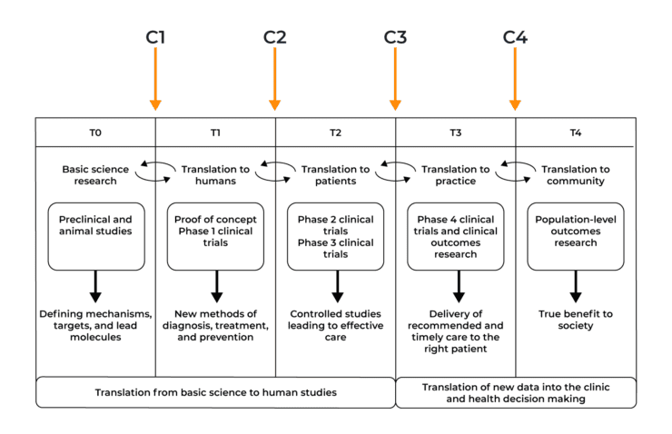 The translation chasm diagram