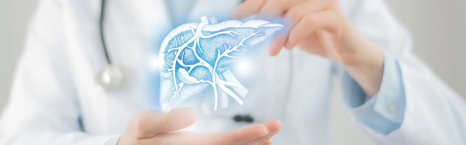 Doctor holding highlighted handrawn Liver in hands. Medical illustration, template, science mockup.