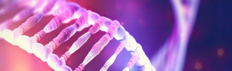 Digital 3D Representation of DNA in Genetic Research