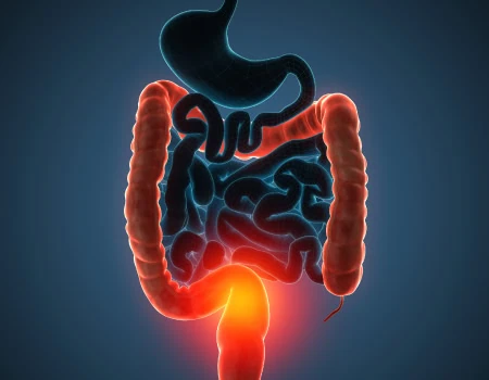 Medical illustration of the human digestive system highlighting the colon and rectum