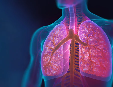 3d image of human lungs with glowing blue colours