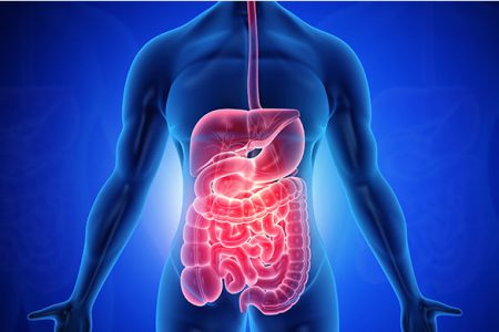Gastroenterology Inflammatory Bowel Diseases