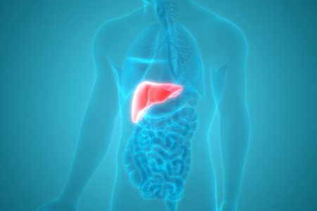 Hepatology