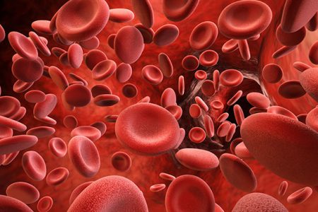 Oncology Haematology